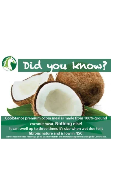 Coolstance kokos
