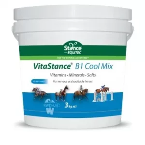 Stance Equitec VitaStance B1 Cool Mix