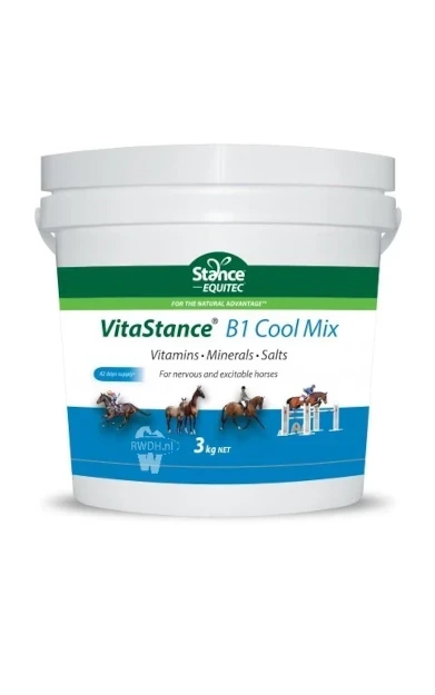 Stance Equitec VitaStance B1 Cool Mix