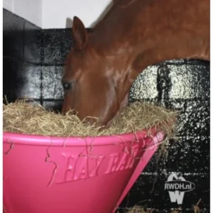 Horse Hay Bar Pink Roze