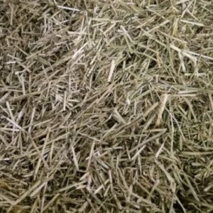 Ryegrass Chaff