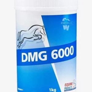 Equine Products DMG 6000 1kg